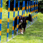 Preview: PROCYON Hundesport-Agility-Set (Profi-Turnier-Slalom)