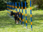 Preview: PROCYON Hundesport-Agility-Set (Profi-Turnier-Slalom)