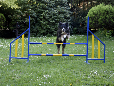 Agility Hürde Hunde PROFI-Training FCI konform Hunde Hürden Hundesport Dog