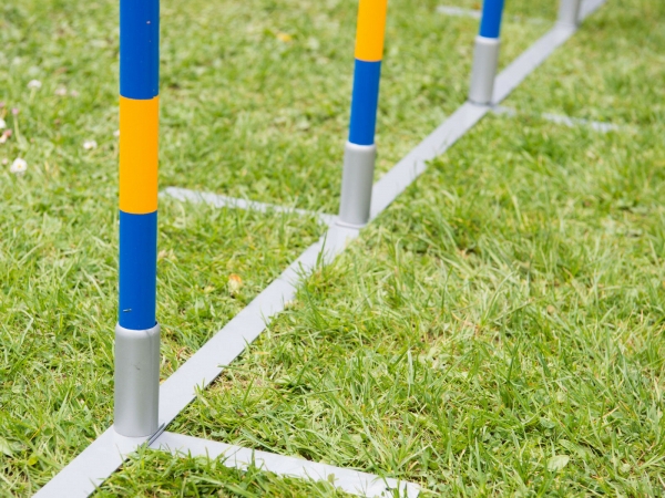 PROCYON Hundesport-Agility-Set (Profi-Turnier-Slalom)