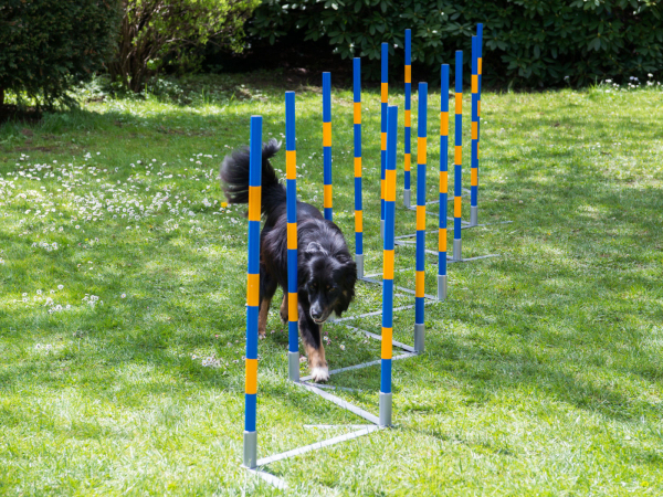 PROCYON Hundesport-Agility-Set (Profi-Turnier-Slalom)